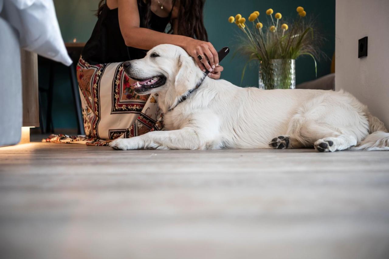 Sambucus Apartments -Premium Apartments For You And Your Dog Lana Exterior photo